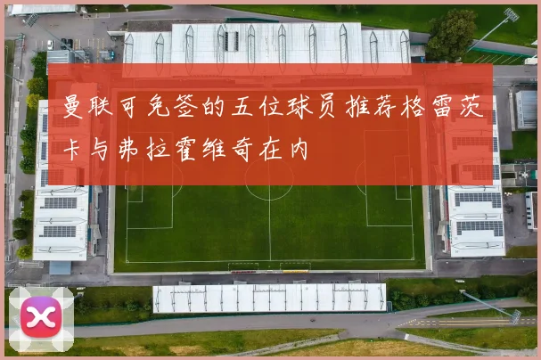曼联可免签的五位球员推荐格雷茨卡与弗拉霍维奇在内