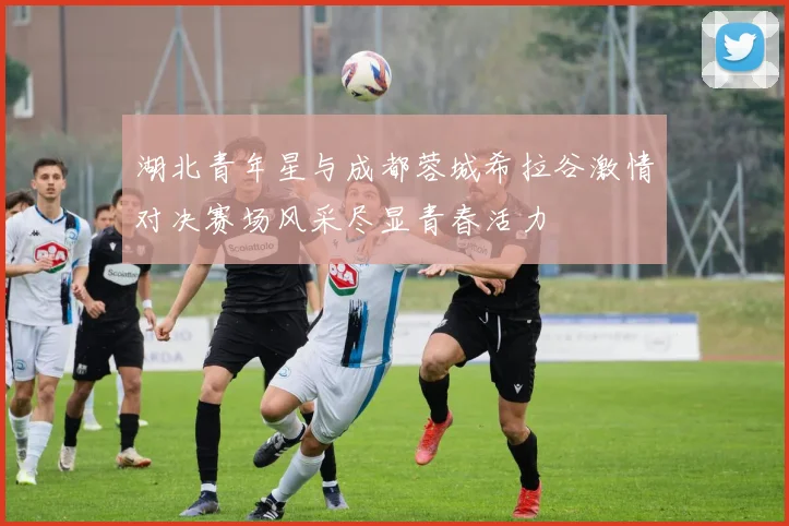 湖北青年星与成都蓉城希拉谷激情对决赛场风采尽显青春活力