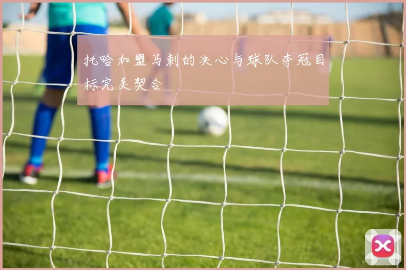 托哈加盟马刺的决心与球队夺冠目标完美契合